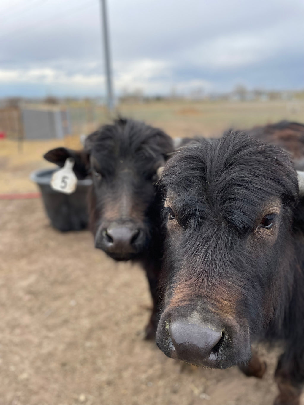Farm Tour