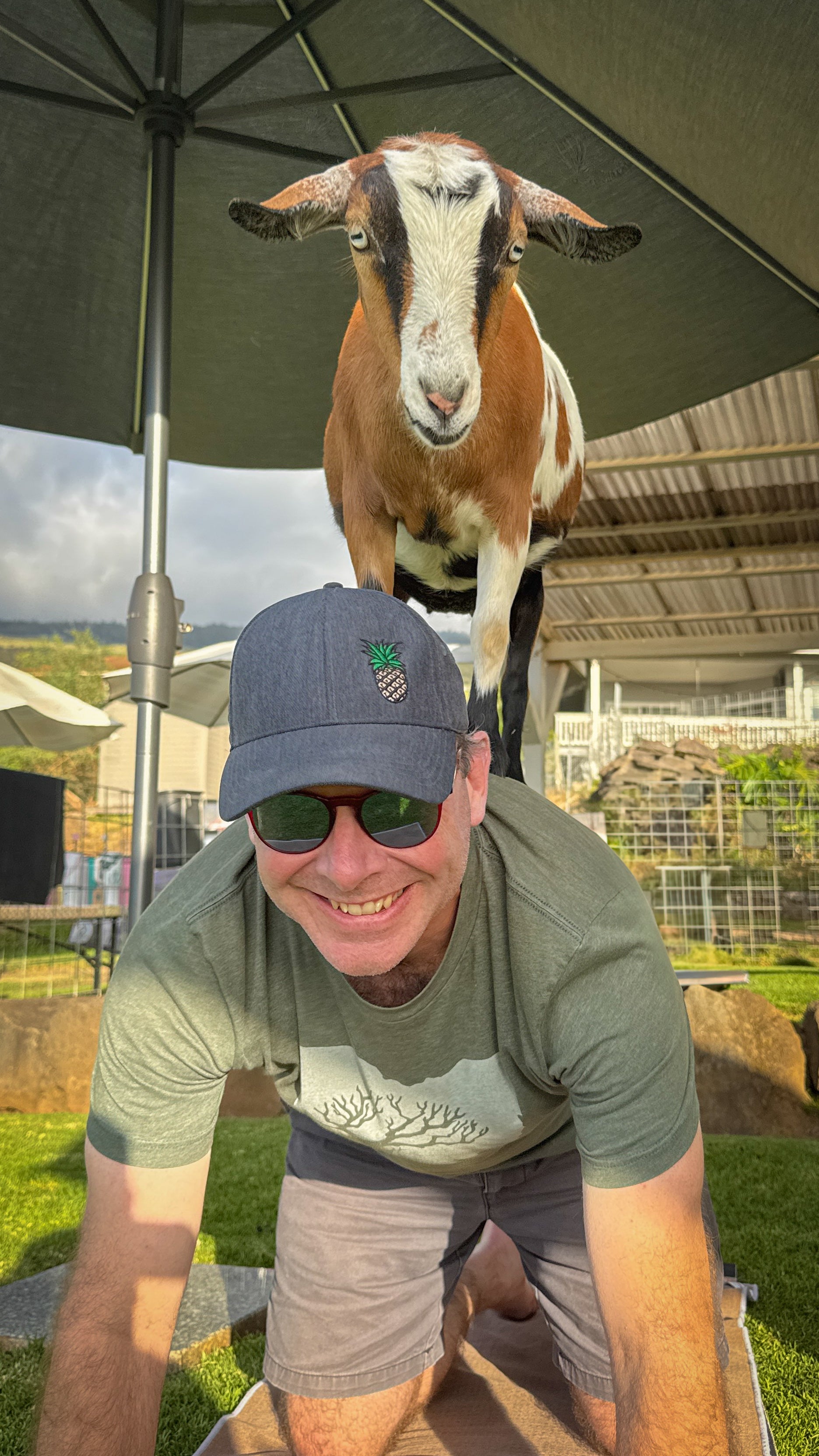 AAA. Tuesday, June 2nd, 7pm, Baby Goat Yoga Class